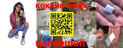 гидра Новозыбков