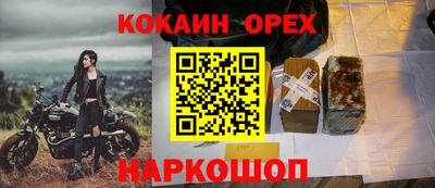 гидра Новозыбков