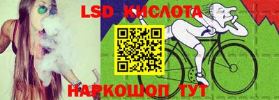гидра Новозыбков
