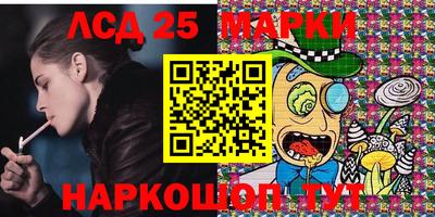 гидра Новозыбков