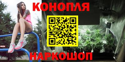 гидра Новозыбков