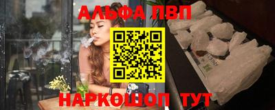 гидра Новозыбков